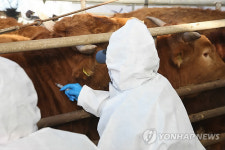 백신접종 고양 농장 4곳 의심신고..정밀검사중