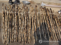 동해 망상동주민자치위, 명아주 지팡이 전달