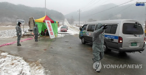 강원 횡성.춘천.홍천, 경북 영주 구제역