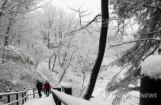 은빛세상
