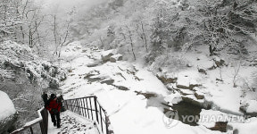 은빛세상