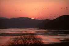 우포늪 세계유산 잠정목록 등재 신청