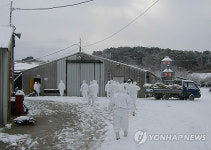 전북도, 익산 AI 의심 닭 도살처분
