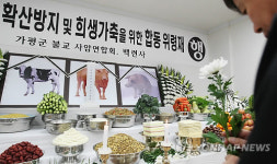 구제역 희생가축 위령재