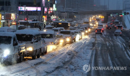 雪雪 목포
