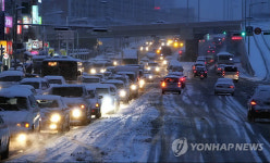 雪雪 목포