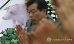구제역 희생가축 위령재