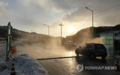 한우 이어 돼지도 구제역..홍천 축산 붕괴우려