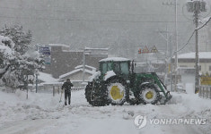 강진 38㎝ 눈폭탄..산골마을 고립 등 피해