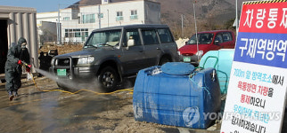 경북 동.남부 구제역 확산..축산농 걱정태산