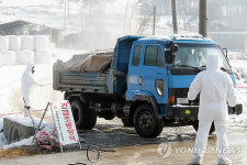 AI발생 천안에 구제역 덮쳐‥충남도 초비상