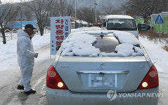 구제역 대관령도 뚫렸다