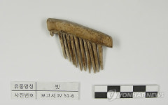 신창동 유적 목제빗