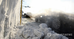 구제역 방역 평택은 지켜야