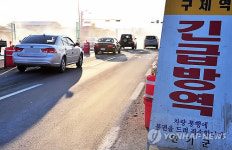 '연기군 구제역 방역 총력'