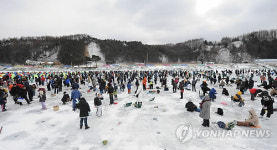 송어를 낚아라..평창 송어축제 개막