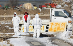 충북 최대 소 사육단지 청원서 구제역(종합2보)