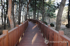 관동팔경 제1경 삼척 죽서루에 명품 산책로