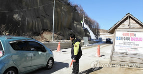 대관령 또 양성..전방 5㎞서 출입금지