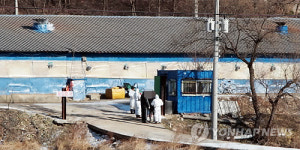 충주 신니면 또 구제역..살처분 앞둔 돼지 농가