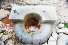 오색약수.방동리무궁화..강원 4점 천연기념물 지정