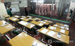  구제역에 마비된 김해지역 축산물공판장