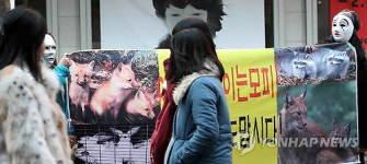 동물 사랑