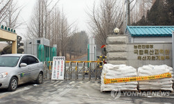 천안 국립축산과학원 구제역 양성판정(종합)