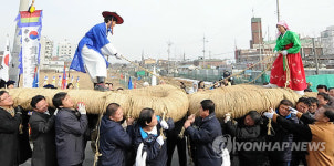 풍년 기원하는 전통 줄다리기 코잡이놀이