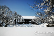 삼척 죽서루 설경