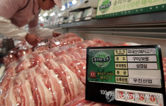 할당관세 24개 추가..분유.삼겹살 확대(종합)