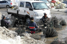 다시 활기 찾은 강릉 주문진항