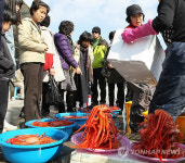 다시 활기 찾은 강릉 주문진항