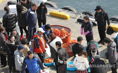 다시 활기 찾은 강릉 주문진항