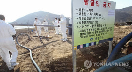 경기 양평에서도 구제역 침출수 추출