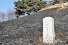 화재 발생한 경기도 용인 채제공 선생 묘
