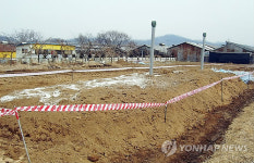 돼지 147마리 남은 천안 병천..매몰지 사고없다