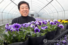 이제 꽃 내놓습니다