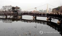 전주 덕진공원 물빛에도 봄이 성큼