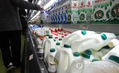 구제역 후폭풍, 우유 대란 우려