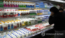 구제역 후폭풍, 우유 대란 우려