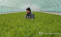 용각산미나리 맛보세요