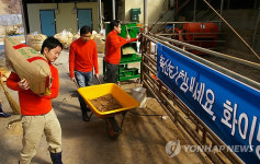 구제역 물러난 축사 청소
