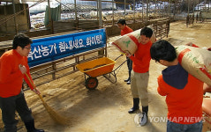 구제역 물러난 축사 청소