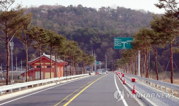 부여에 조성된 소나무 특화거리