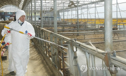 농가 소독 직접 나선 유정복 장관