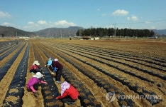 봄농사 시작합니다