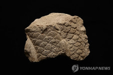 경주 사천왕사 비석의 이수