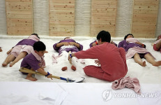 장흥 우드랜드에 편백 소금집 개장