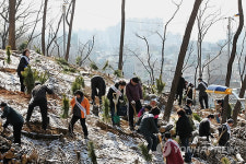 성미산을 푸르게